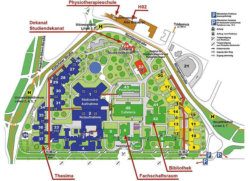 Download: UMM Universitätsmedizin Mannheim