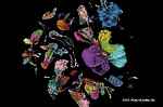 Foto: PENG HE/EMBL-EBI